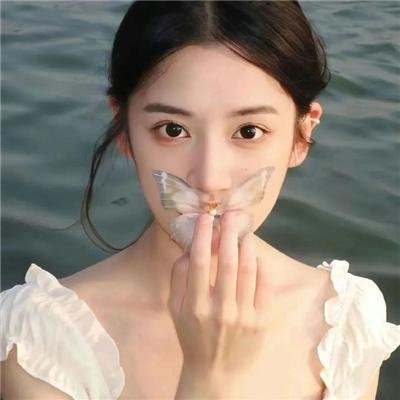 鸡密真相